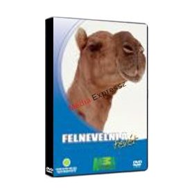 Felnevelni a tevét